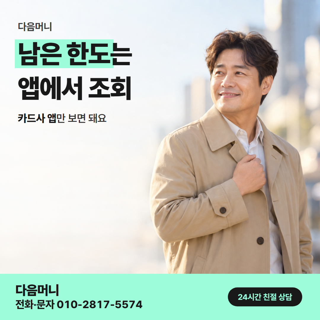 다음머니 양산카드깡 한도 확인 안내